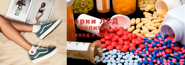 шишки Новокубанск