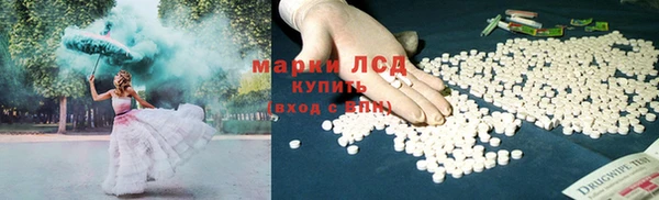 шишки Новокубанск